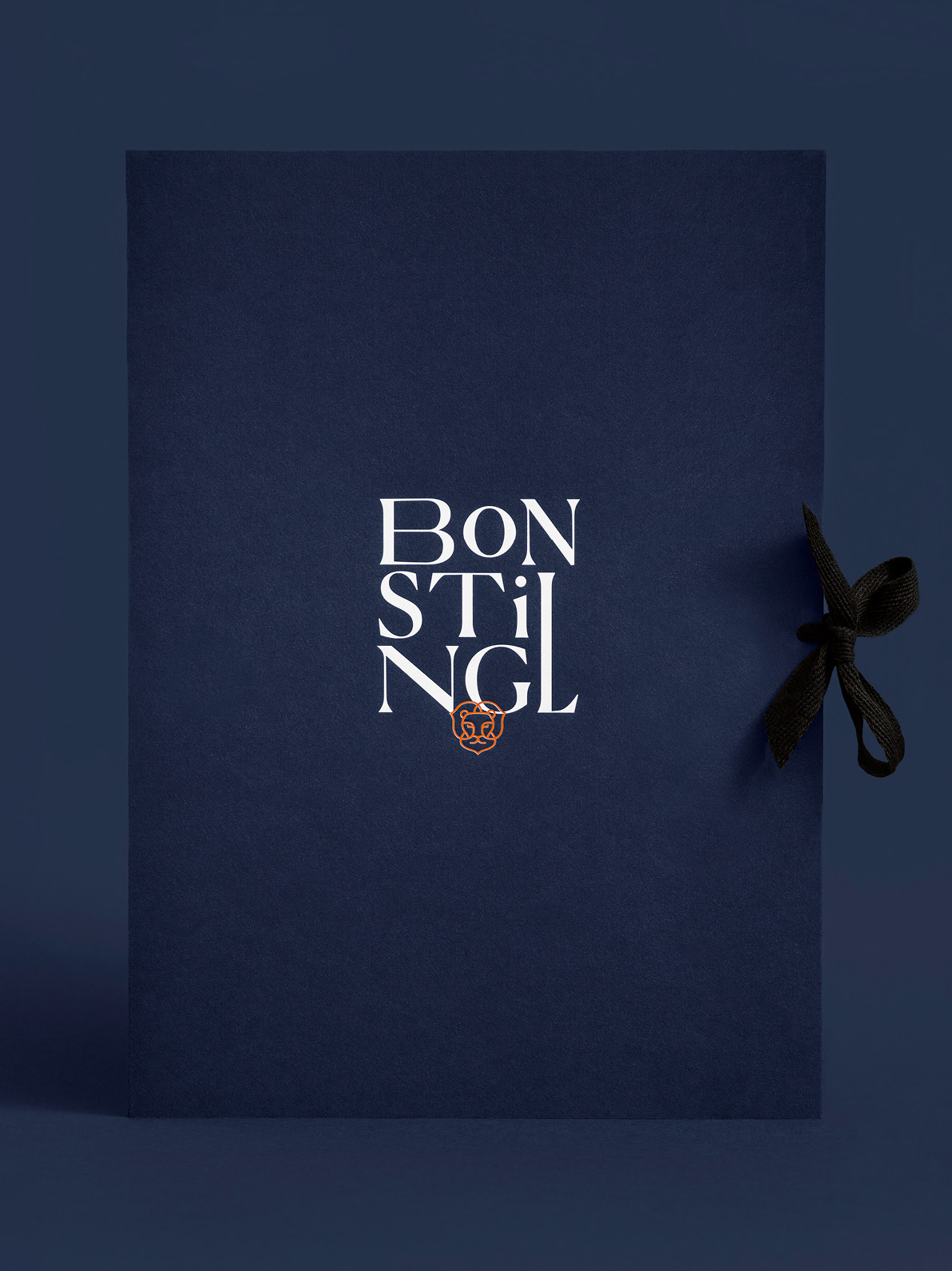 bonstingl_moodley_branding_mappe_logo