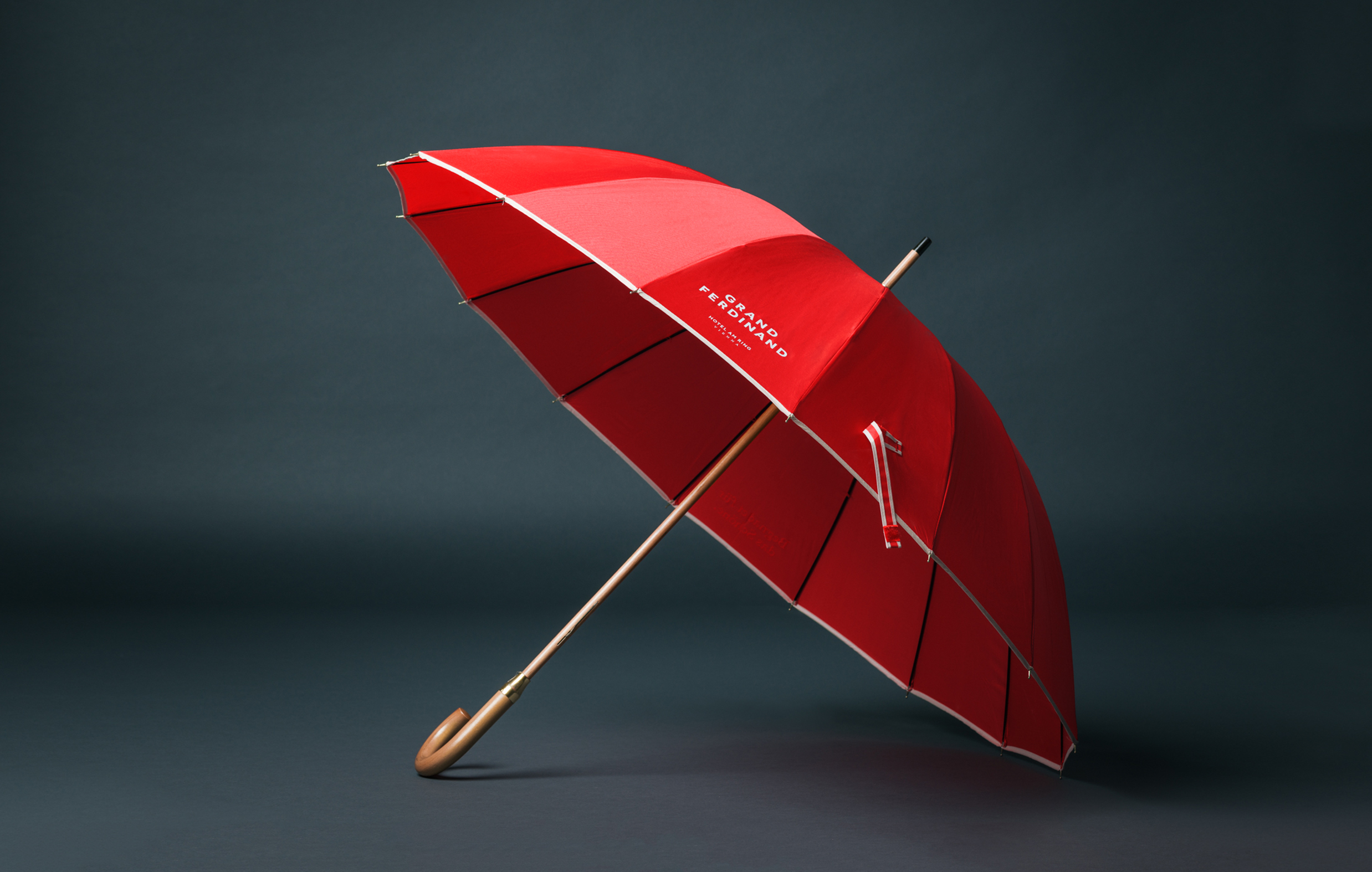 grand_ferdinand_moodley_branding_regenschirm