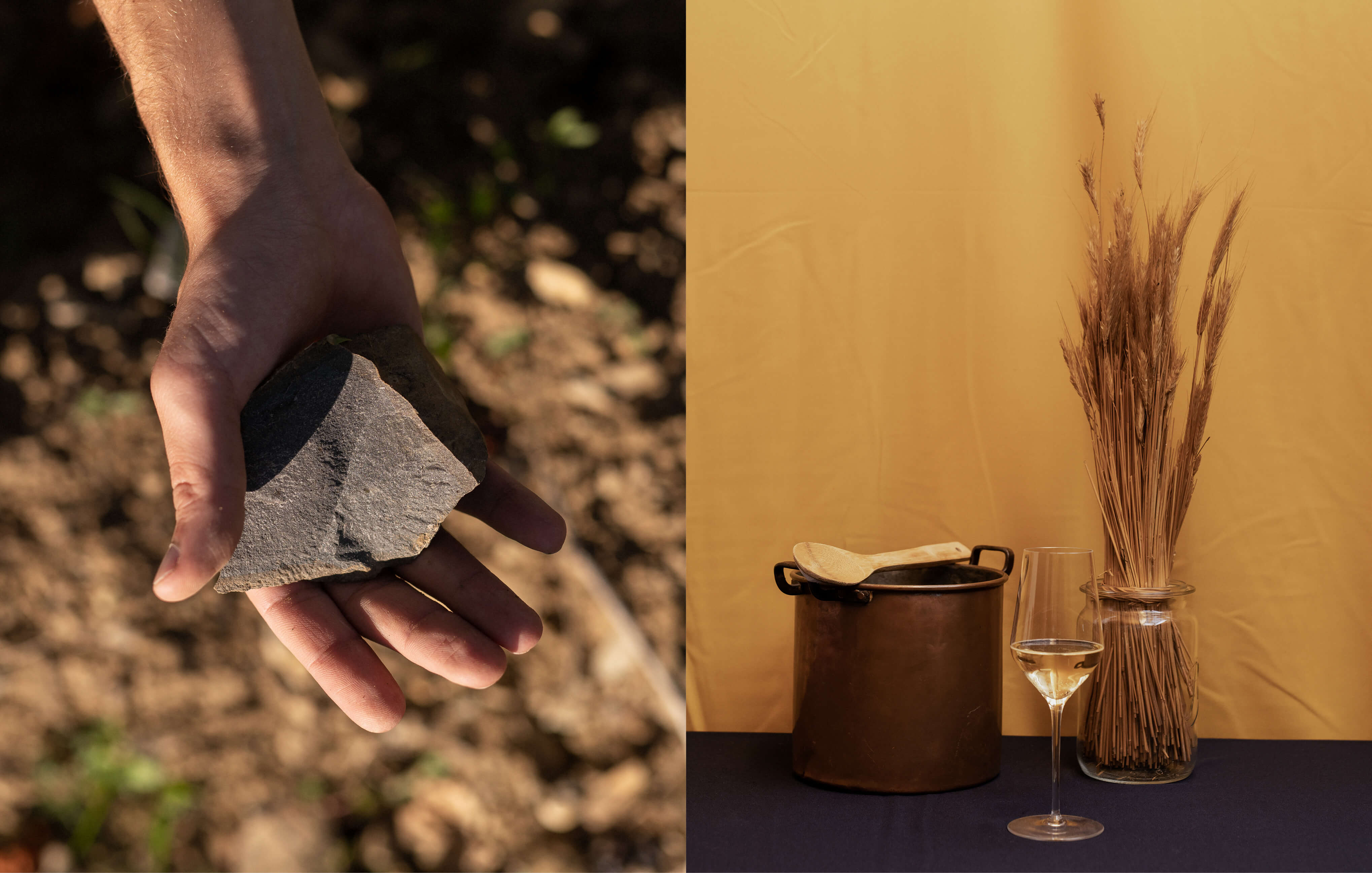 zahel_moodley_branding_natur_wein
