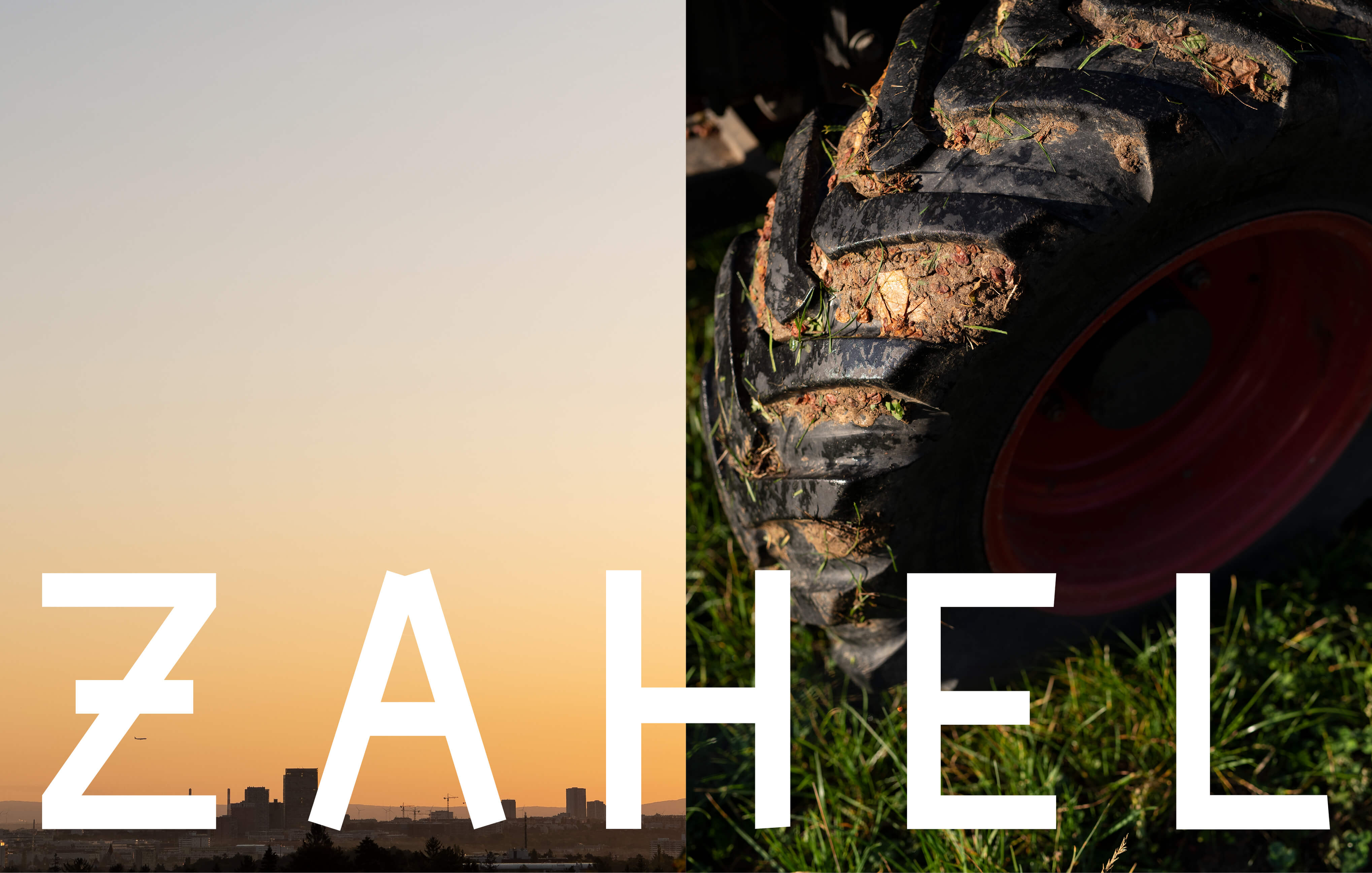 zahel_moodley_branding_logo_natur