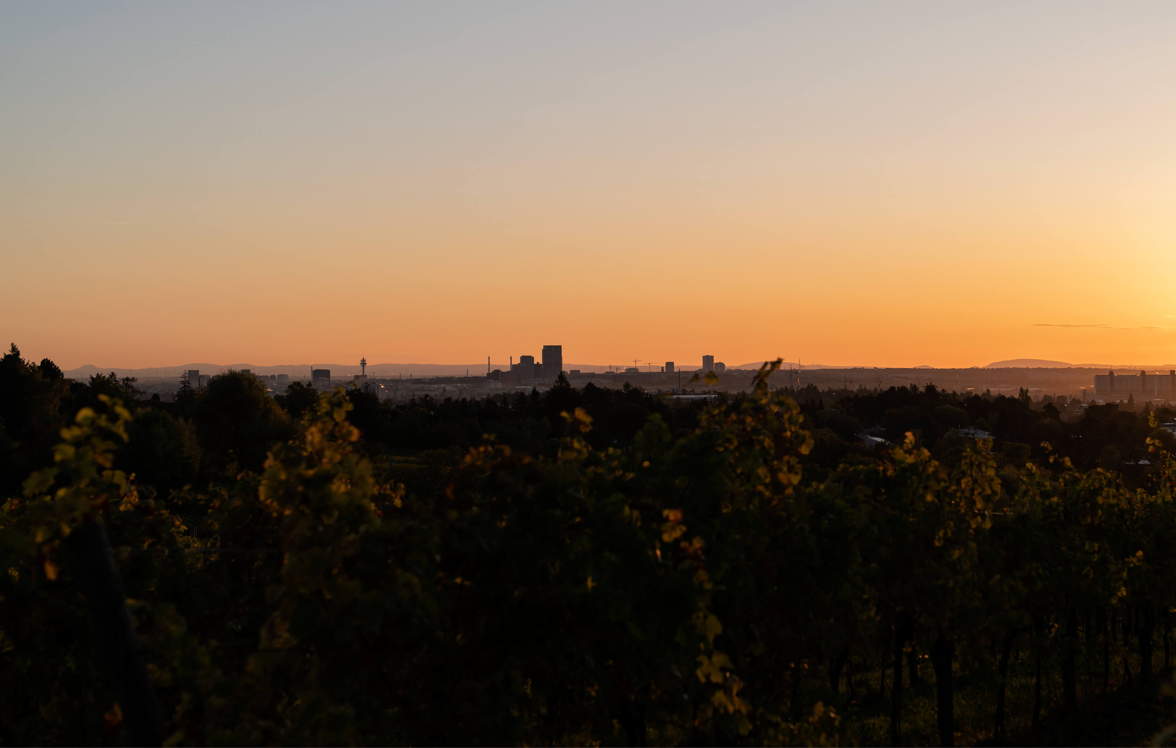 zahel_moodley_branding_sonnenuntergang